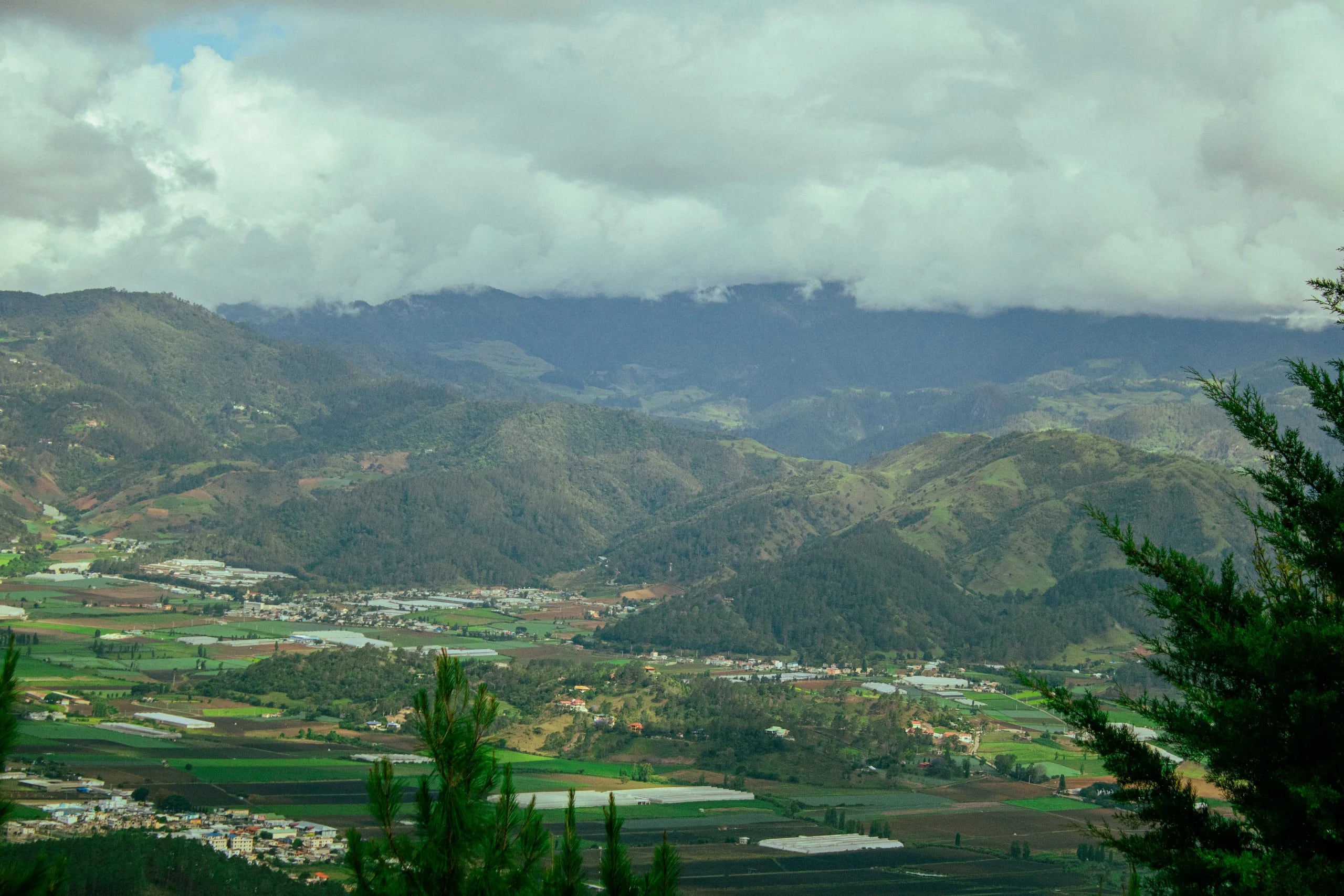 Valle de Constanza, Constanza