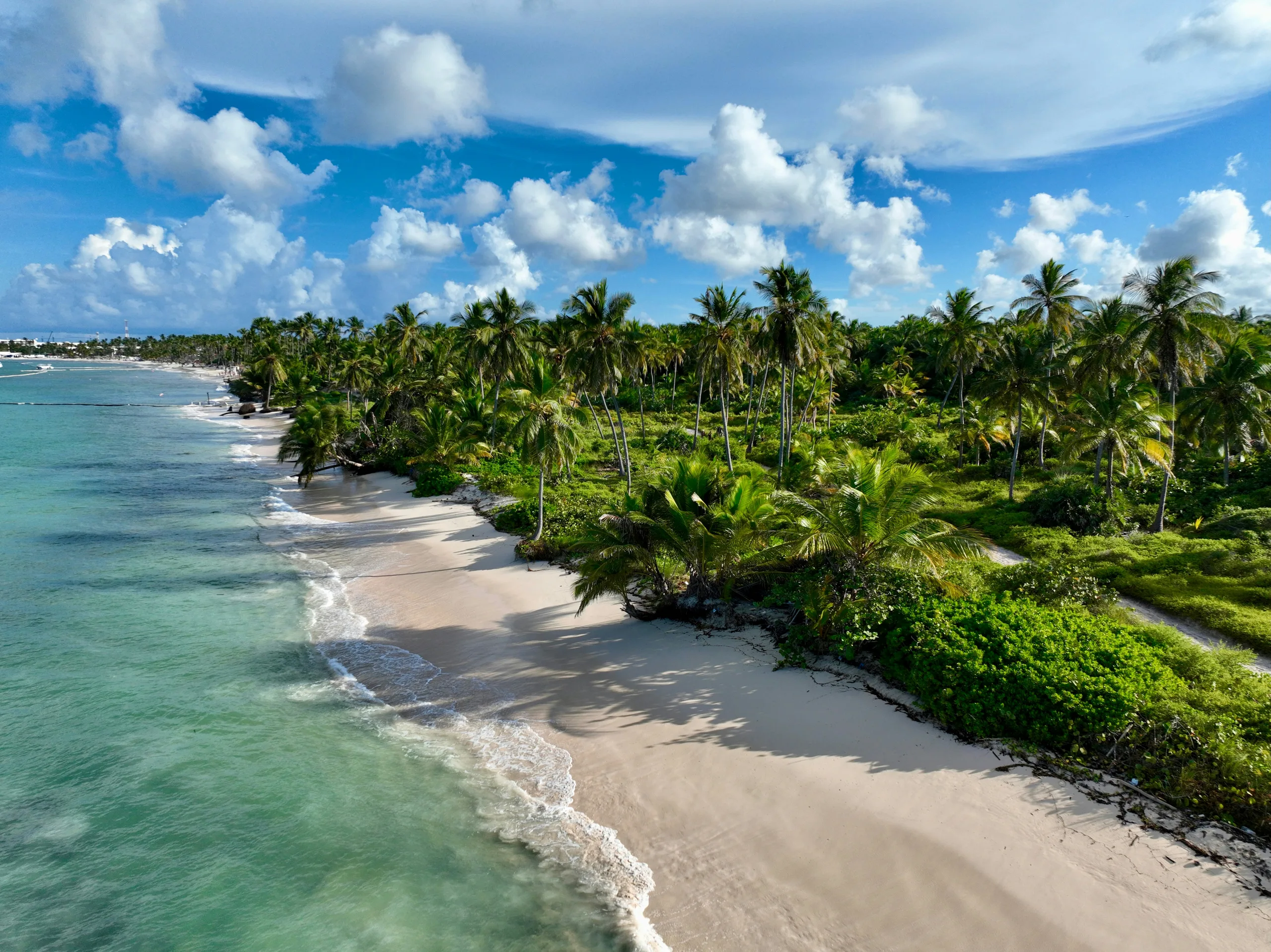 Playa de Punta Cana, Punta Cana