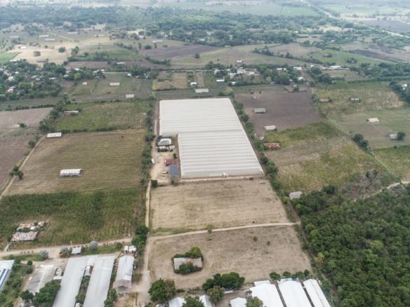 FINCA AGRICOLA / COMERCIAL / VILLA GONZALEZ