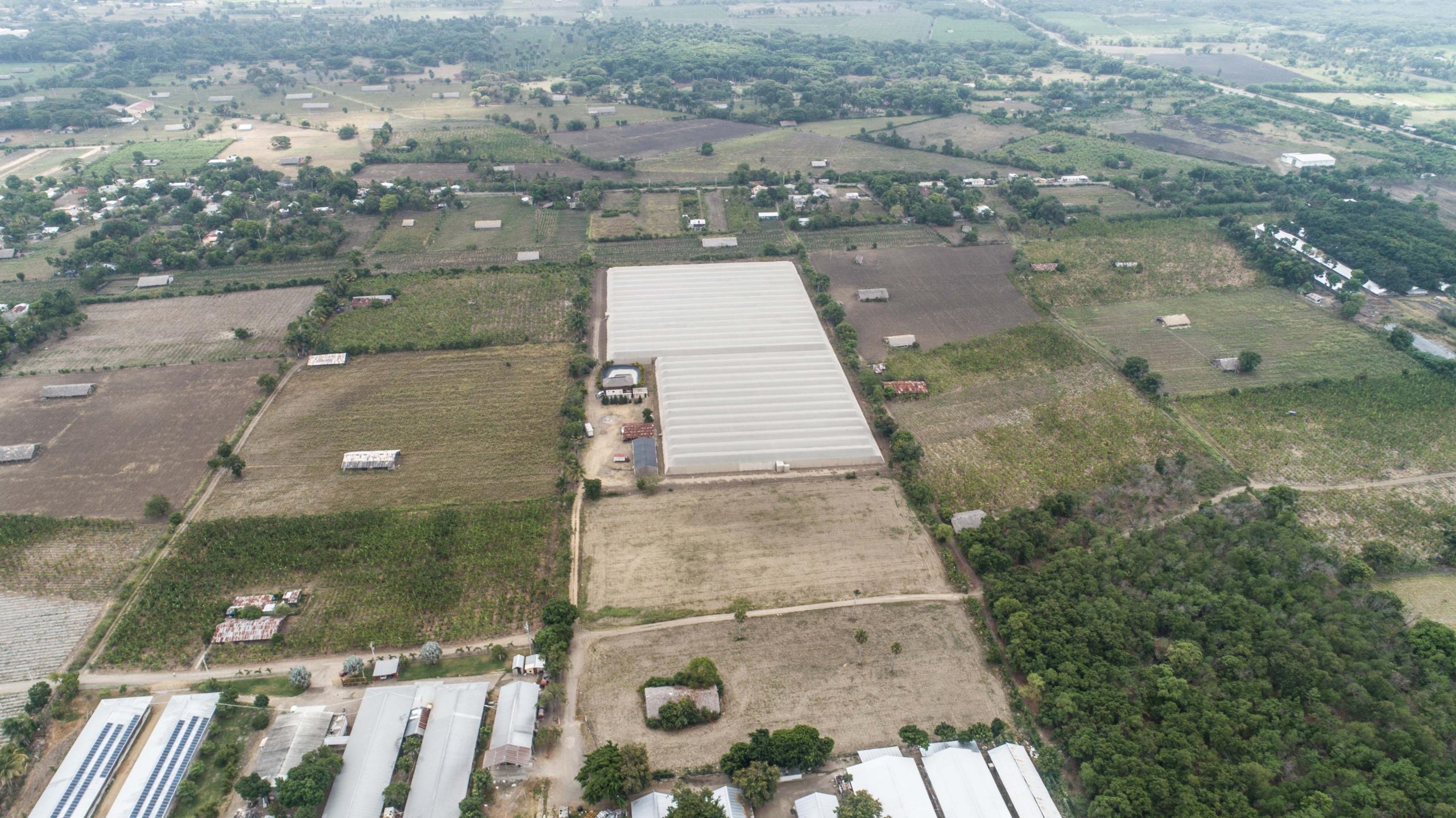 FINCA AGRICOLA / COMERCIAL / VILLA GONZALEZ