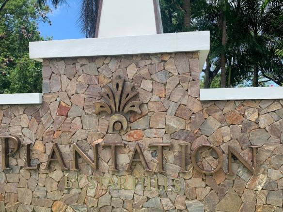 Plantation 3
