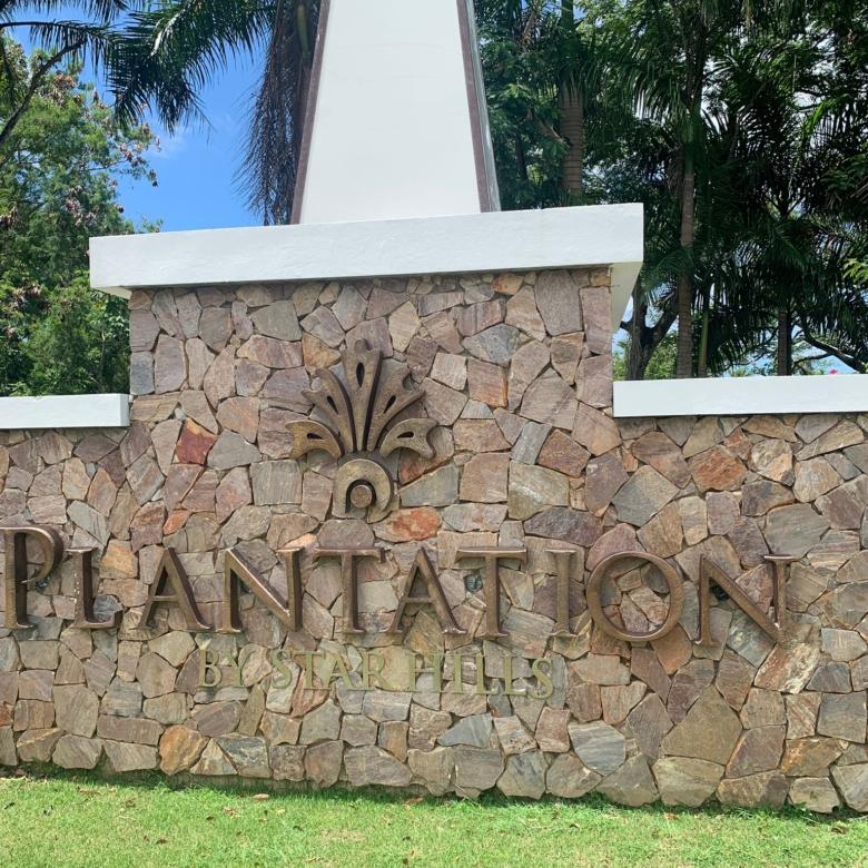 Plantation 3