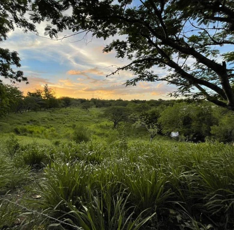 Bambu Residences | Solares en Residencial cerrado