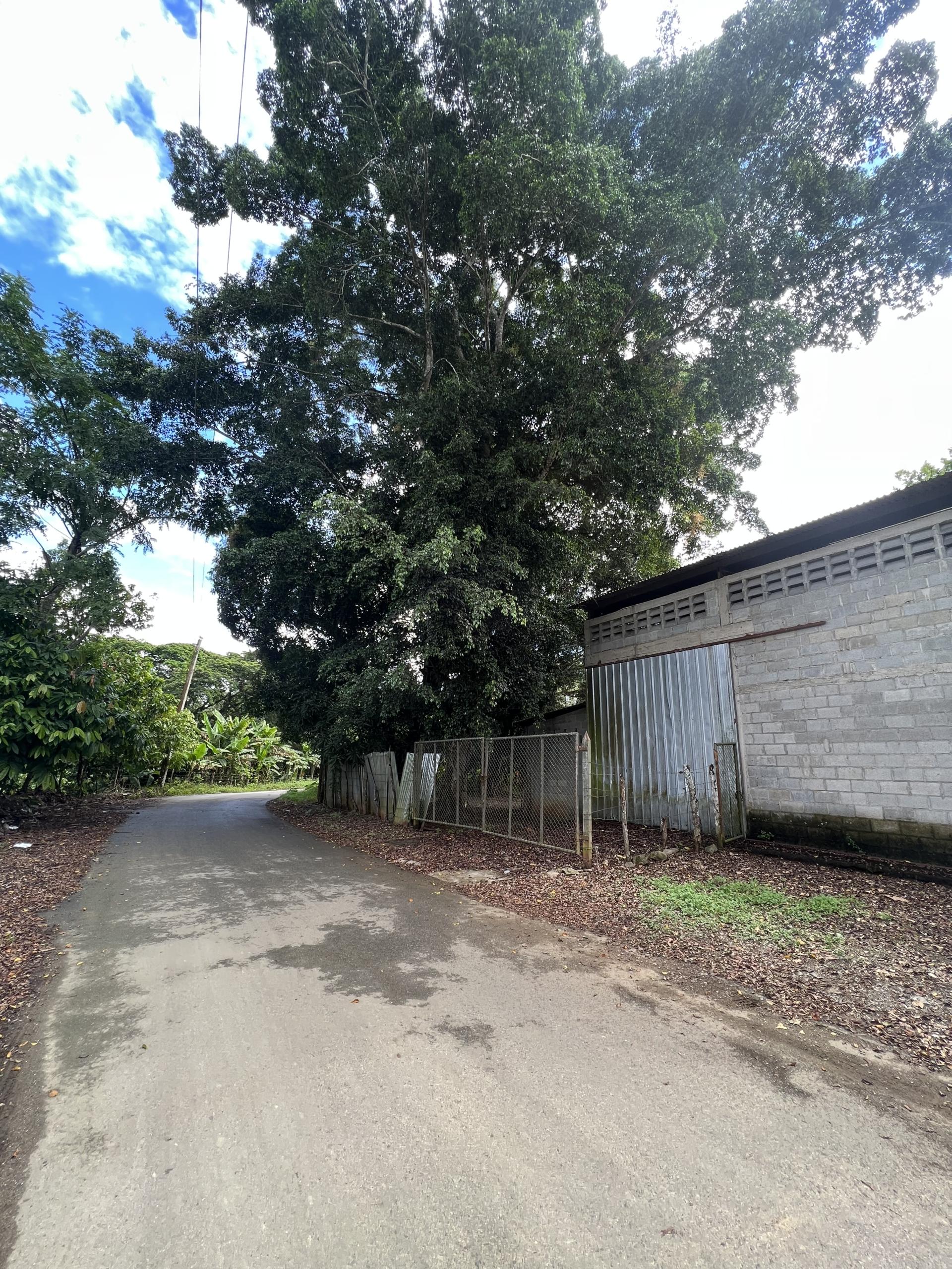 EXCLUSIVO TERRENO EN COTUI / 263 TAREAS.