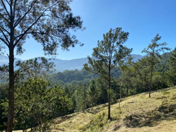 ALTOS DE LA FLORESTA - JARABACOA, ESTANCITA.
