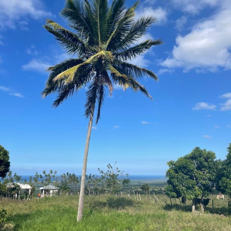 CUPEY, Terreno con vista al mar