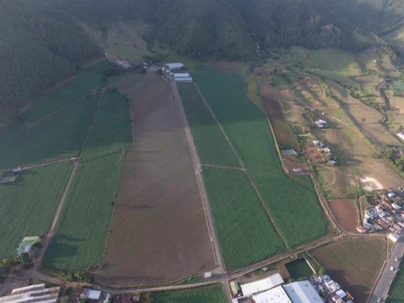 FINCA MIRAMONTE - CONSTANZA