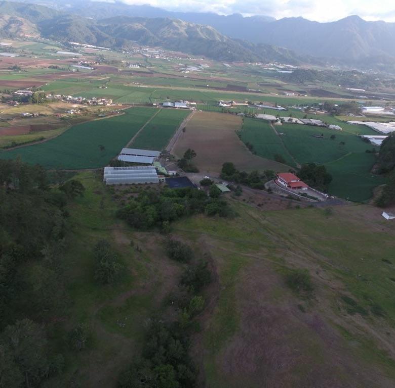 FINCA MIRAMONTE - CONSTANZA