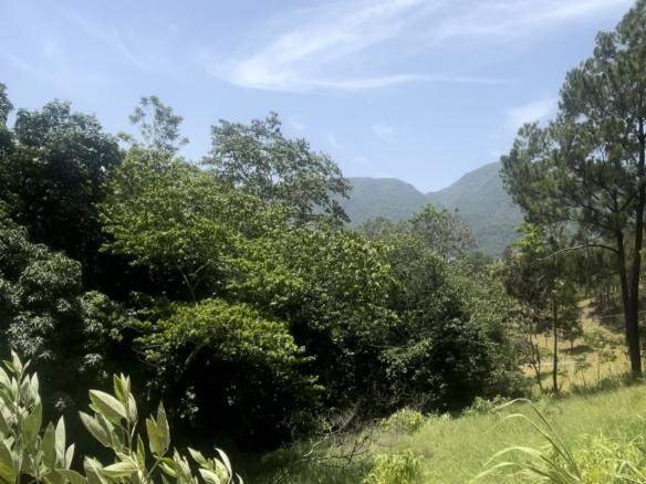TERRENO EN JARABACOA, BOSQUES DEL EDÉN.
