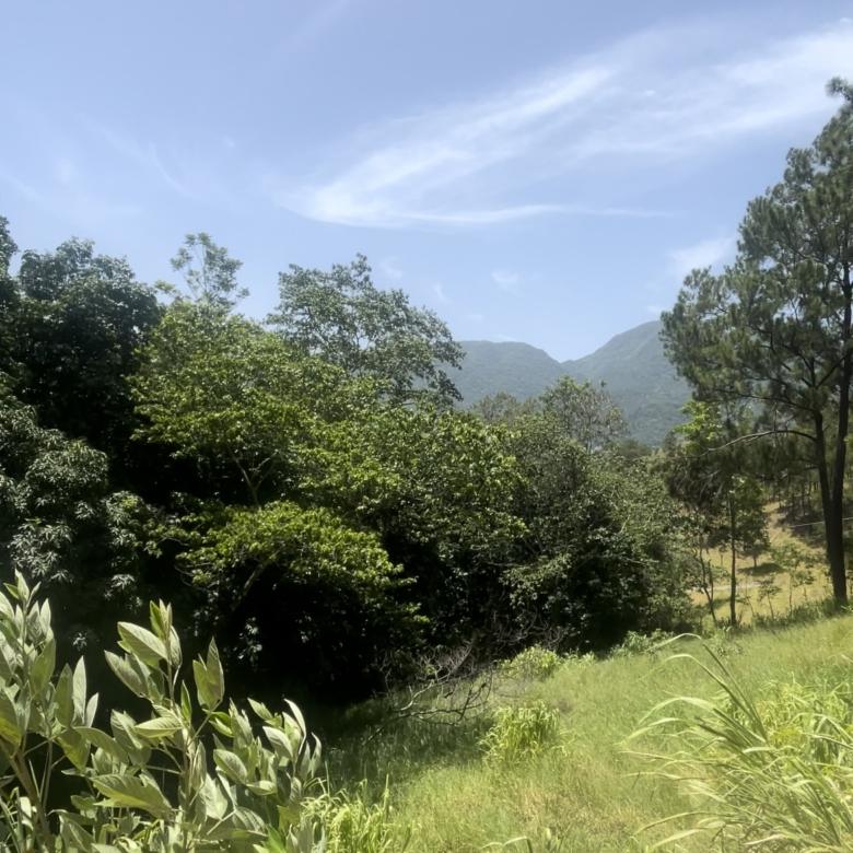 TERRENO EN JARABACOA, BOSQUES DEL EDÉN.