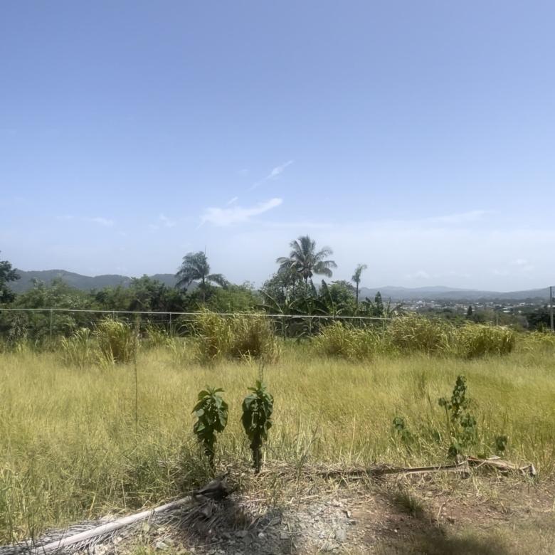 PROYECTO DE SOLARES ZENDA VERDE - JARABACOA, PINAR QUEMADO.