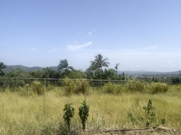 PROYECTO DE SOLARES ZENDA VERDE - JARABACOA, PINAR QUEMADO.