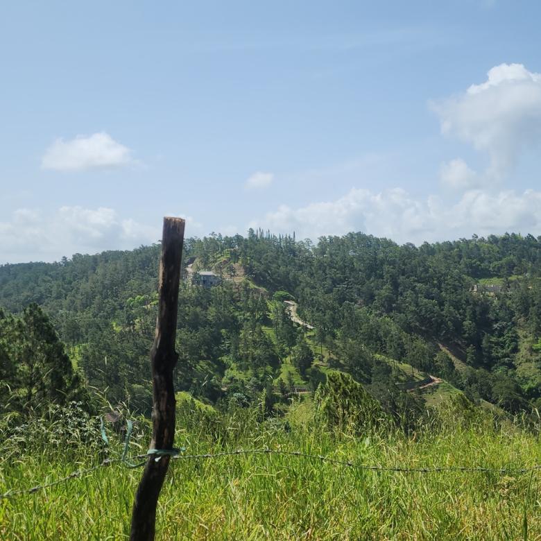 HERMOSO Y EXLUSIVO TERRENO EN JARABACOA
