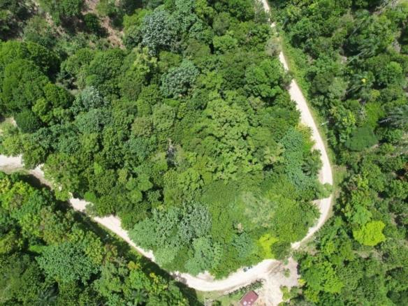 Terrenos Exclusivos en Villa Trina, República Dominicana