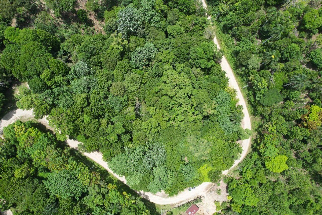 Terrenos Exclusivos en Villa Trina, República Dominicana