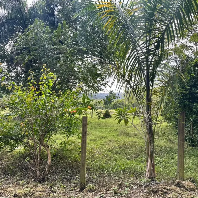 RESIDENCIAL CORINA I – CARRETERA TURISTICA, PUERTO PLATA.